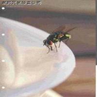 /UpLoadFiles/20140404/2014040411255939.jpg